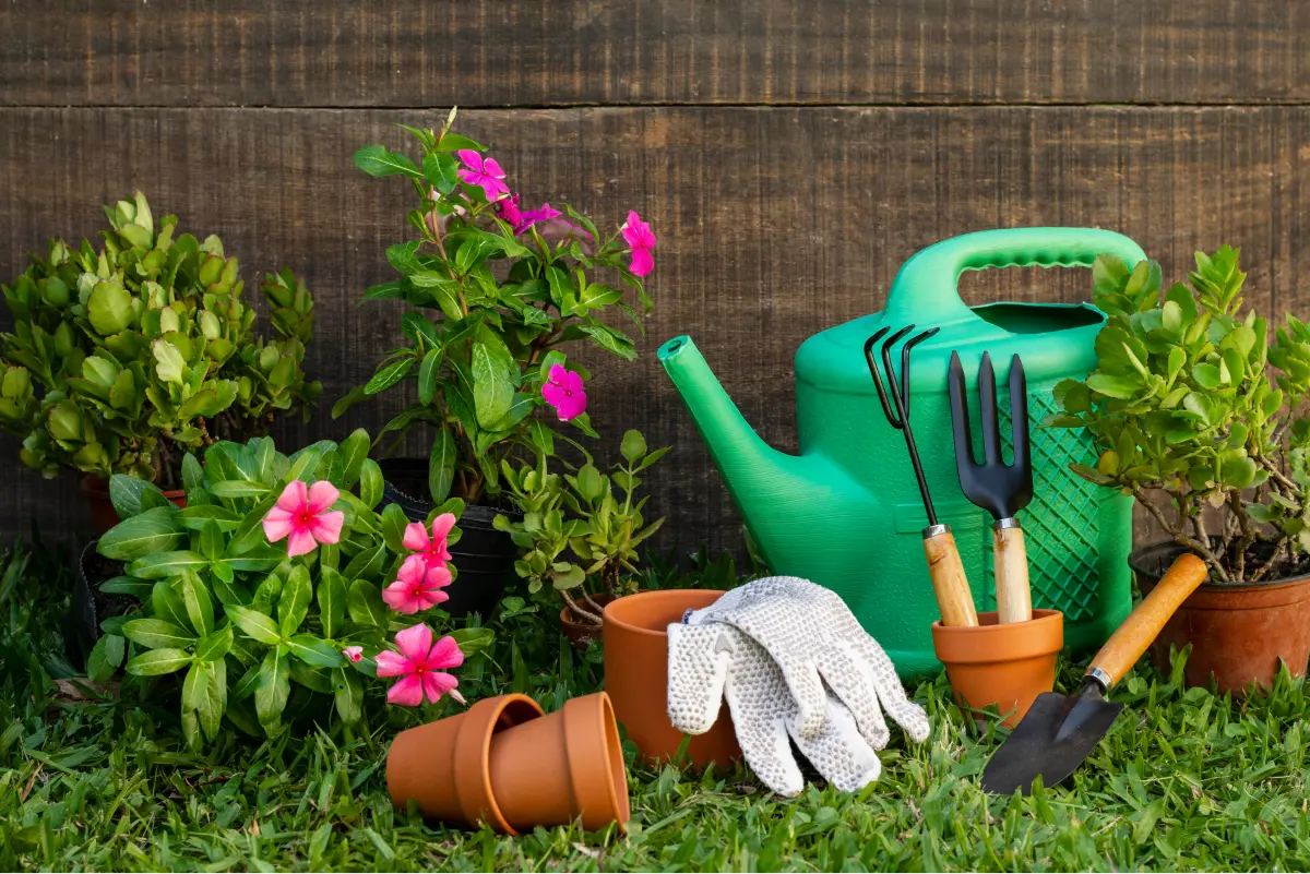 A beautifully landscaped backyard with a variety of plants, trees, and flowers.