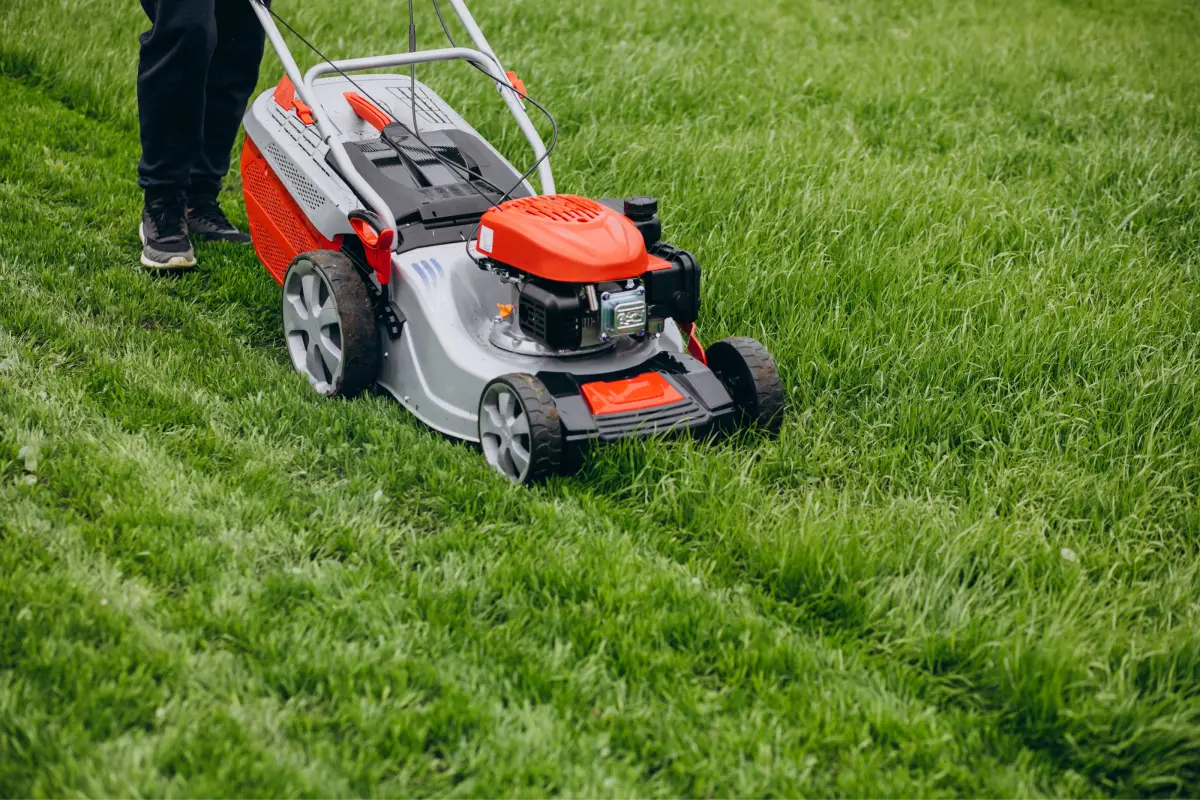 A worker uses a lawnmower to cut the grass in a residential backyard, creating a neat and tidy appearance.