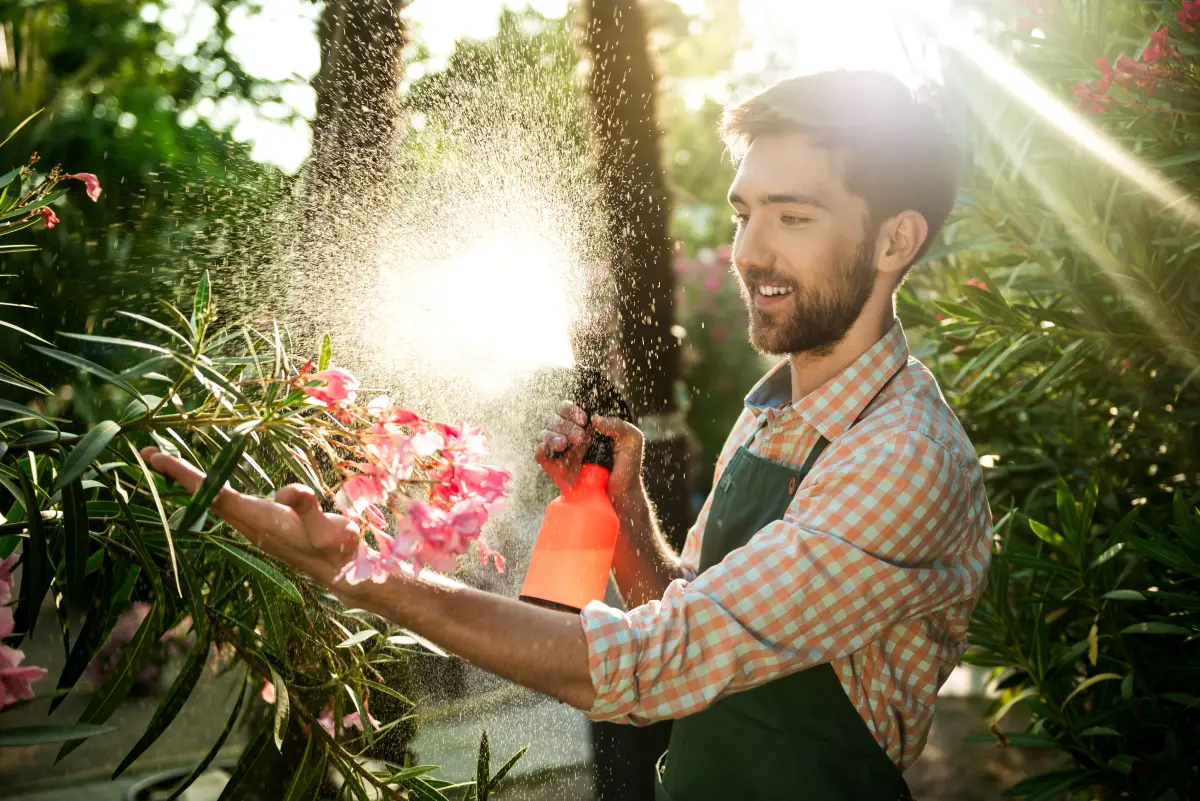An automated sprinkler system watering a lush green lawn in a residential backyard.